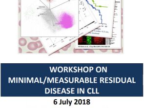 ESCCA workshop on Minimal/Measurable Residual Disease in CLL